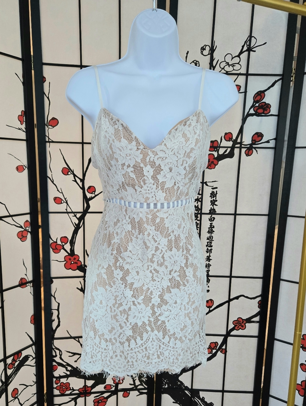 Tobi White Lace Spaghetti Strap Mini Dress